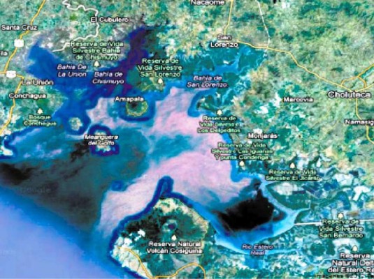 Gobierno interviene sector acuícola por la destrucción de manglares