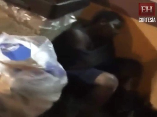 &nbsp;El gran mensaje de un músico hondureño al encontrar un niño en la calle