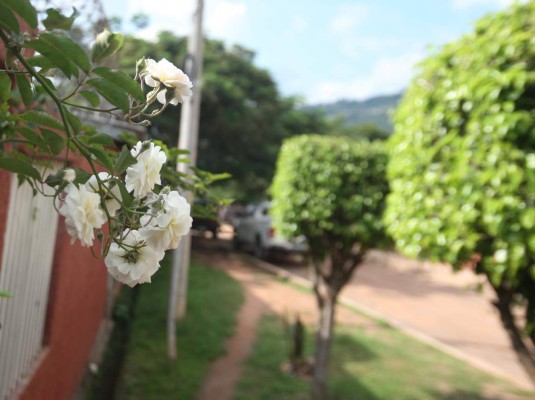 Imágenes de Tegucigalpa: Un recorrido por la colonia 21 de Octubre