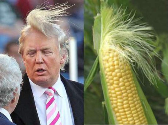 Gran demanda de pelucas de Trump para carnaval en Austria&nbsp;