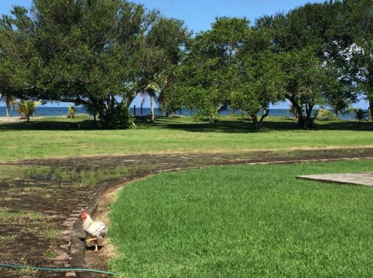 Aseguran bienes al extraditado 'Don H' en norte de Honduras&nbsp;&nbsp;&nbsp;