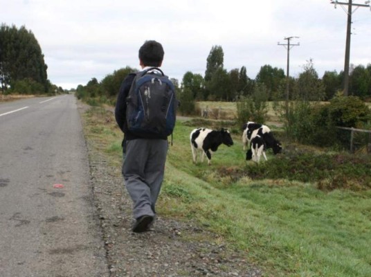 Honduras: Condenan a 10 años de cárcel a sampedrano por pretender violar a una niña&nbsp;&nbsp;