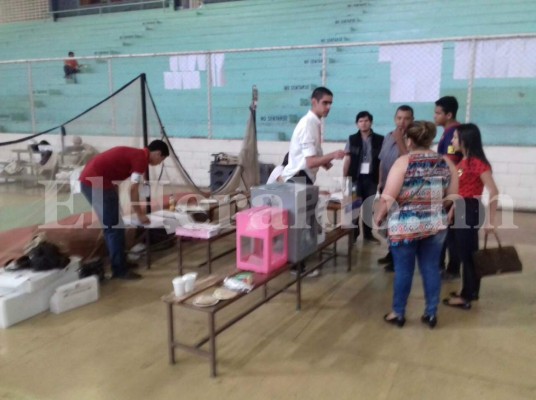 Las curiosidades durante las elecciones primarias en Honduras en fotos