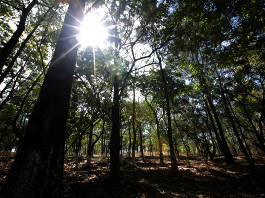 Un recorrido por la colonia Kennedy