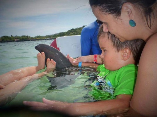 Delfines, una saludable compañía