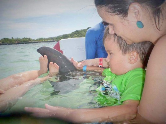 Delfines, una saludable compañía