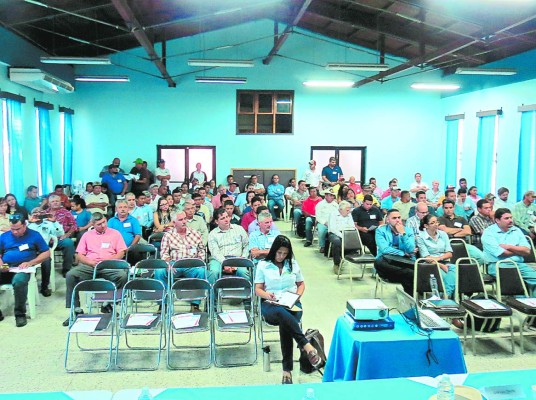 Productores de tilapia de Comayagua buscan mercados permanentes