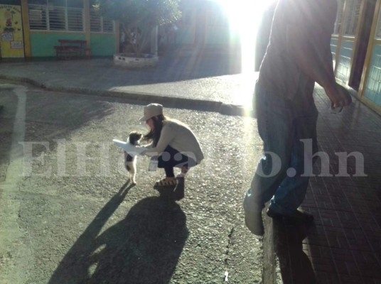 Las curiosidades durante las elecciones primarias en Honduras en fotos