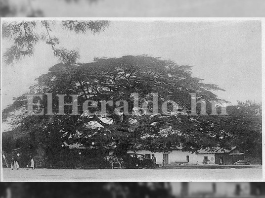 Imágenes de la Tegucigalpa de antaño que seguramente no conociste