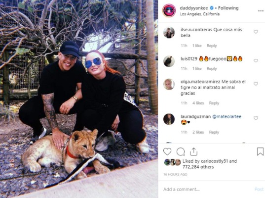 Critican a Daddy Yankee por posar con un león encadenado