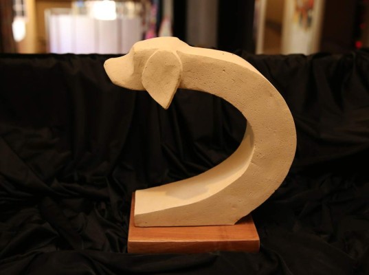 Un legado en piedra para Tegucigalpa