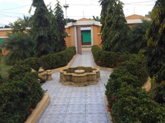 Aseguran más bienes vinculados a Los Cachiros