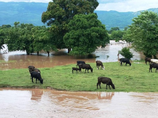 Honduras: Alerta roja para cercanías del río Ulúa