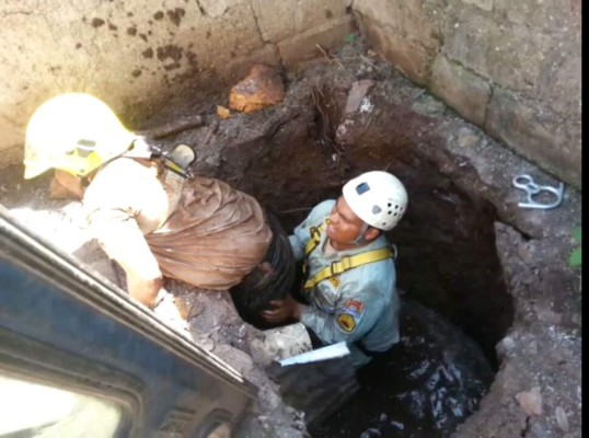 Hondureño bajo efectos del alcohol se salvó de morir ahogado en letrina