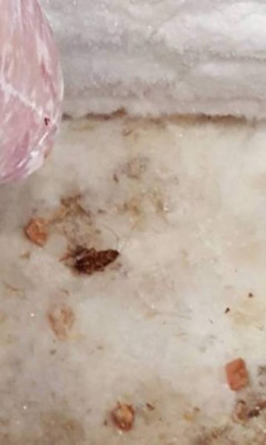 Operación Tifón III: Comida vencida y prácticas insalubres detectan en restaurantes en Tegucigalpa