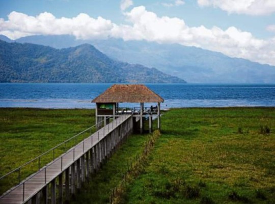 Denuncian daño ecológico al lago de Yojoa