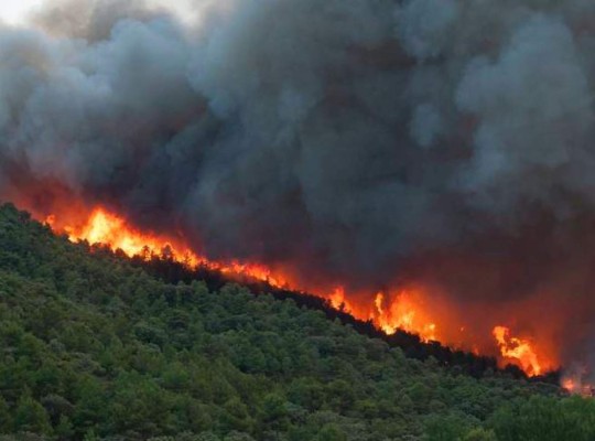 Ola de calor provoca incendios en España y Portugal