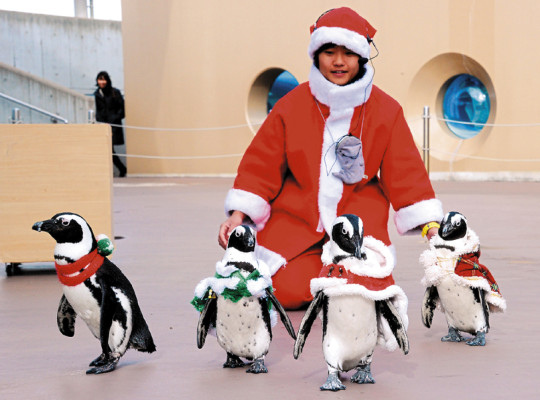 El mundo, listo para Navidad