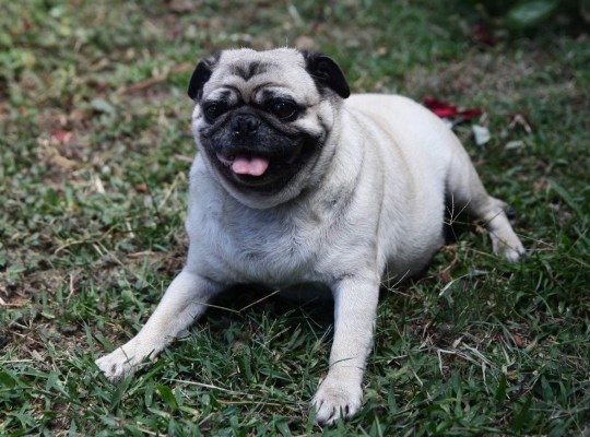 FOTOS: Parejas de hierro del espectáculo