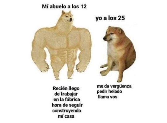 Los mejores memes que dejó este 2020