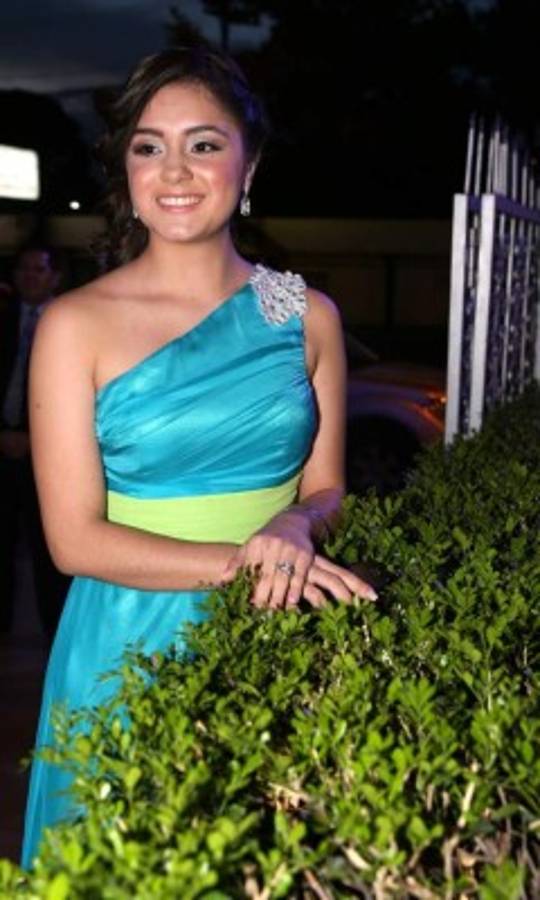 Elegante aniversario natal