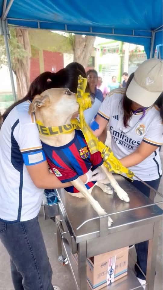 Burlas a Lamine Yamal: Los memes que dejó la derrota de Barcelona ante Real Madrid en el clásico