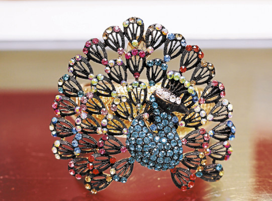 Animales al descubierto