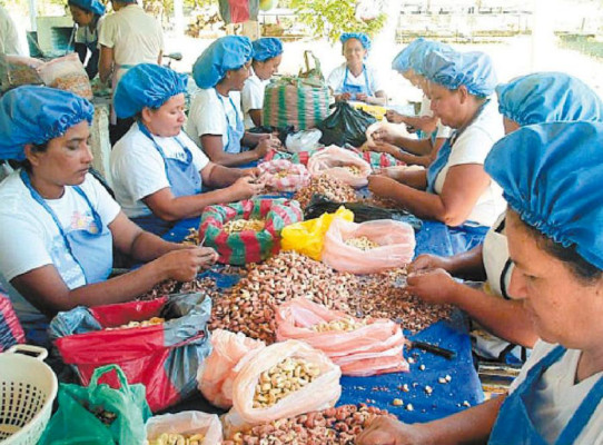 Agencias apoyan desarrollo del sur