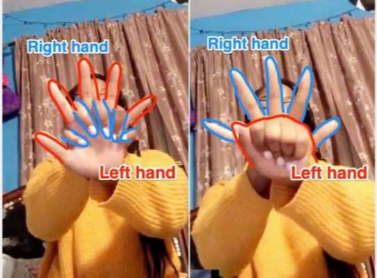 Las ilusiones ópticas que hicieron 'alucinar' a todos en Internet