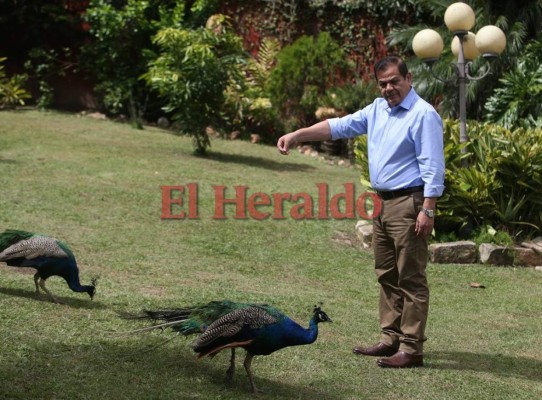 FOTOS: Las facetas de Romeo Vásquez Velásquez que debes conocer