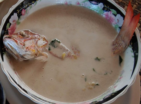 Delicias de Honduras: ¡Puro sabor costeño!