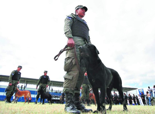 Honduras: Cuatro delitos atacará la Fuerza Trinacional