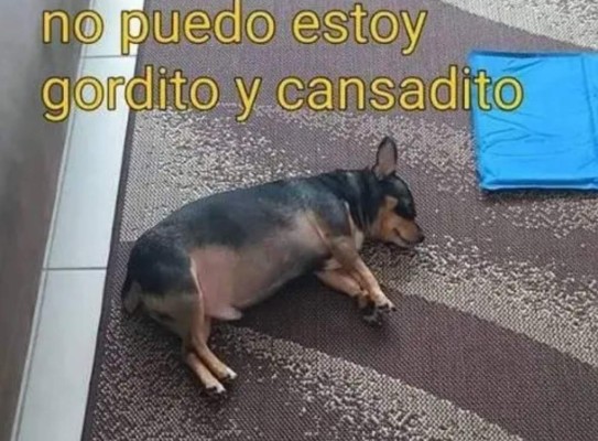 ¡Adiós 2019, hola 2020!, los divertidos memes del final de la década