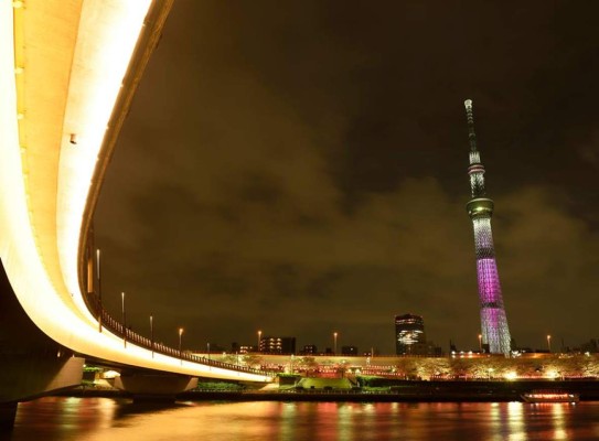 Japón, un viaje al futuro con escalas en el pasado