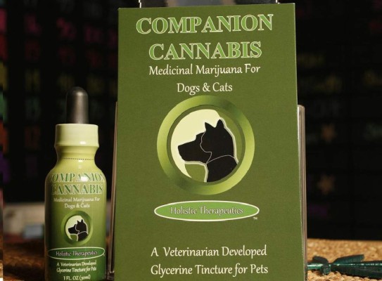 Legalizan consumo de marihuana... para mascotas
