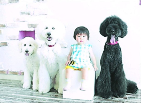 Acá están los mejores Catrachistes de la semana