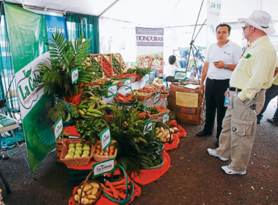 Exponen proyectos para reducir impacto ambiental