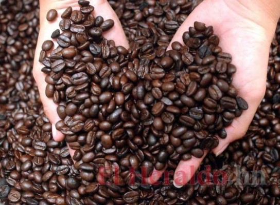Los 10 principales países productores de café, ¿en qué lugar está Honduras?