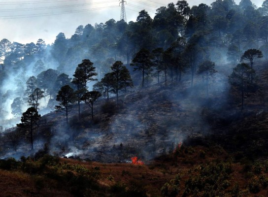 La capital, lugar con la mayor cantidad de incendios forestales
