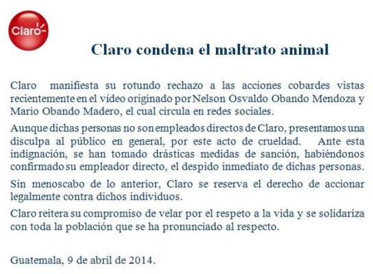 Indignación por video de joven maltratando a gato