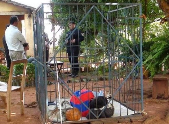 Rescatan a joven con necesidades especiales que vivía enjaulado