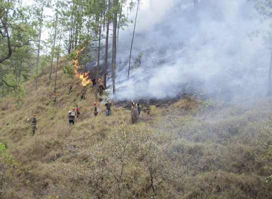 Incendios afectan fuentes de agua