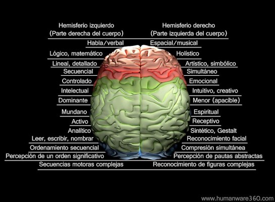¿Qué profesiones ayudan a fortalecer la memoria?