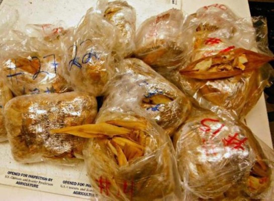 Confiscan 450 tamales en el aeropuerto de Los Ángeles