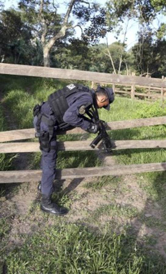 Honduras: Tras la cacería de coyotes