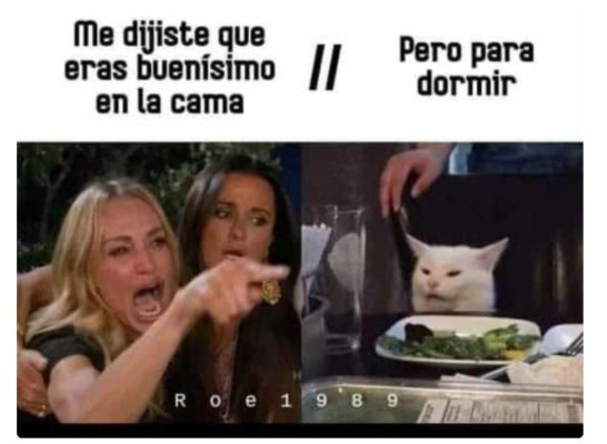 Los memes más graciosos del gato en la mesa y la mujer gritando