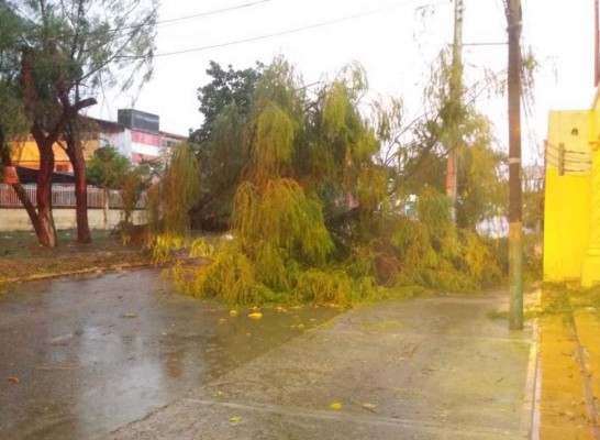 Lluvias dejan inundaciones y provocan caída de un enorme rótulo en San Pedro Sula