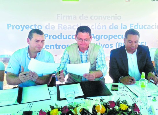 Escuela normal de Comayagua producirá 3,000 quintales de maíz