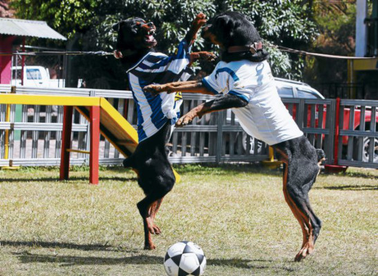 Final Olimpia-Victoria: ¡Esto se pone perro!