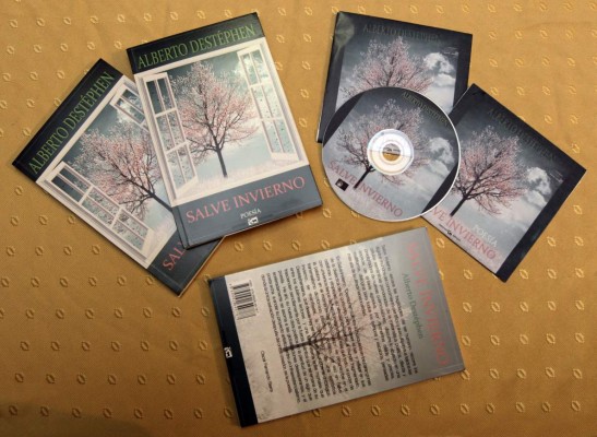 Alberto Destéphen presentó su libro en el IHCH